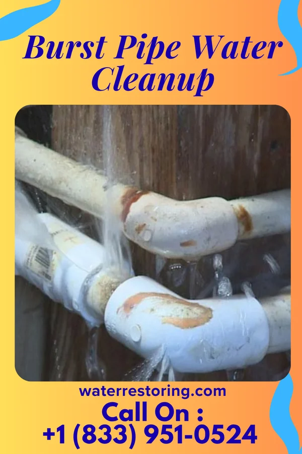 Burst Pipe Water Cleanup in Whiting, WI