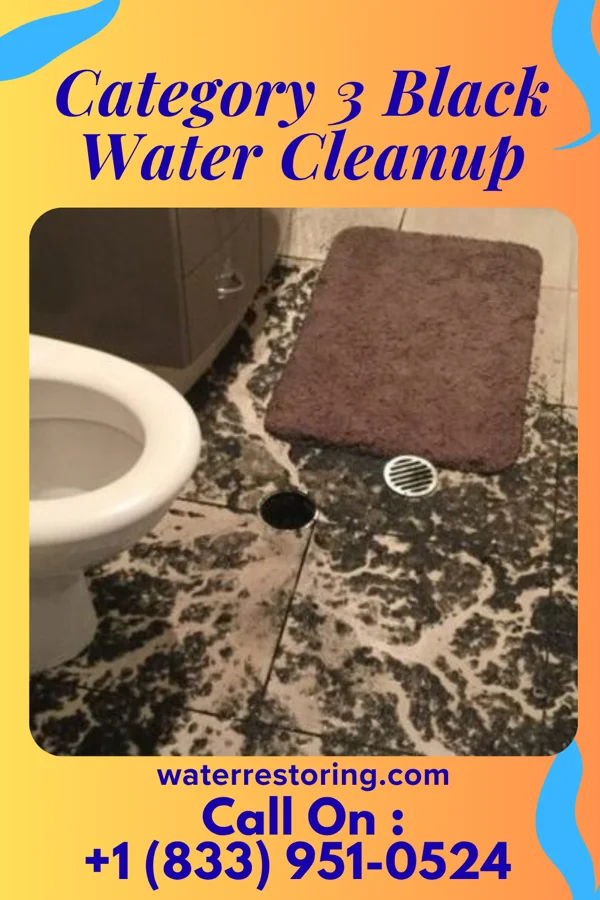 Category 3 Black Water Cleanup in Whiting, WI